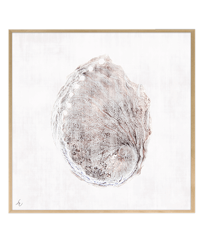 FOSSIL_08