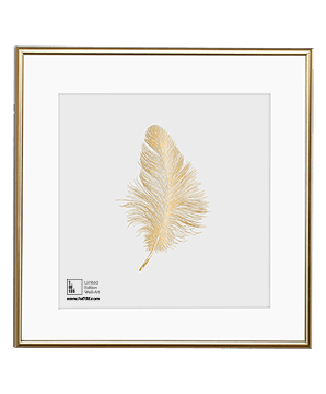 GOLD AMBIENCE FEATHER 17.5x17.5