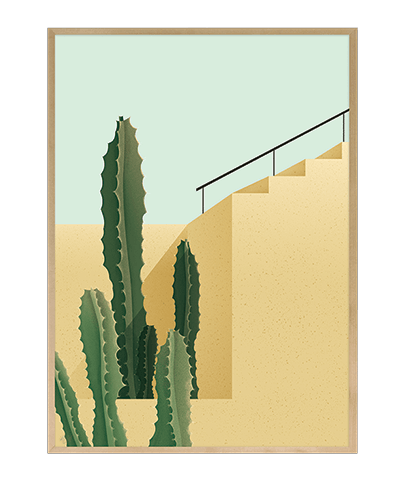 CACTUS_02