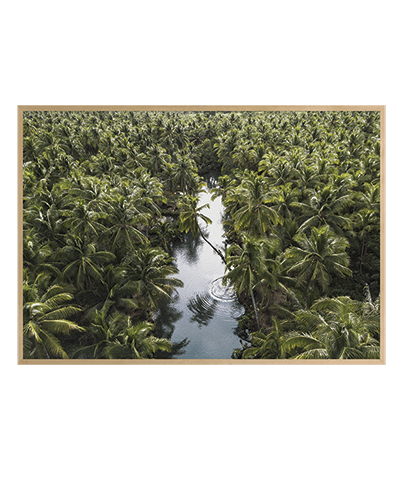 LANDSCAPE_02