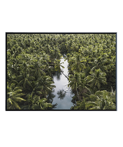 LANDSCAPE_02