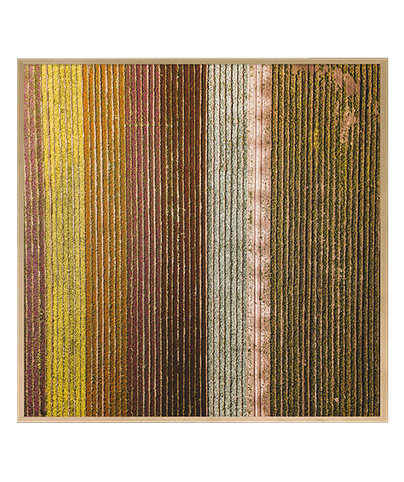 LANDSCAPE_13_SQ