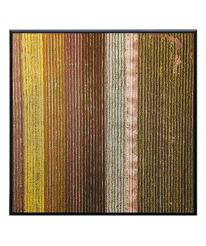 LANDSCAPE_13_SQ