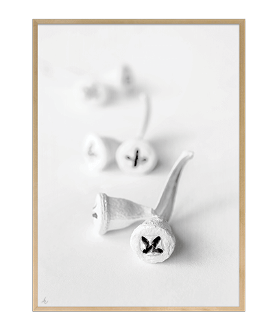 BLANCO_05