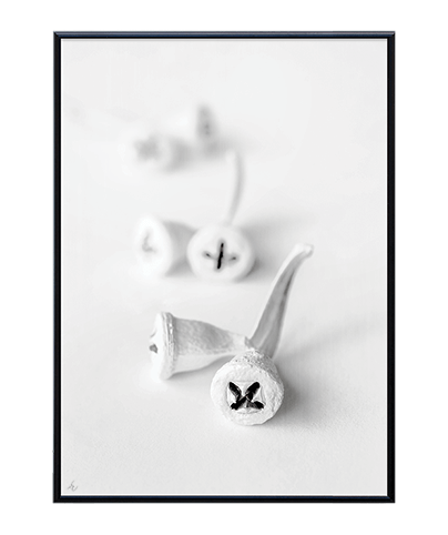 BLANCO_05