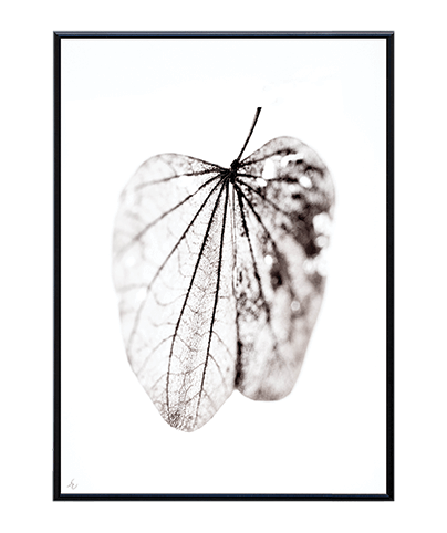 BLANCO_06
