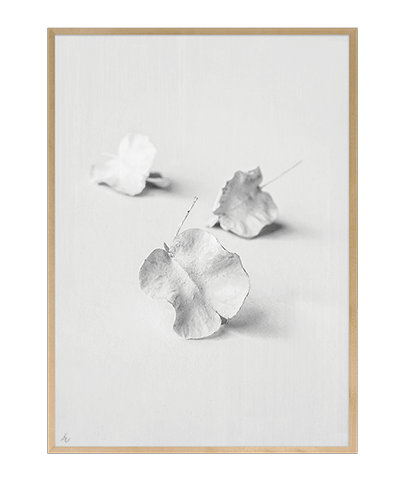 BLANCO_14