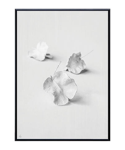 BLANCO_14