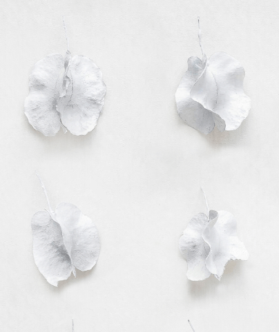 BLANCO_01_SQ