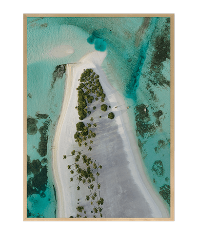 REEF_32

