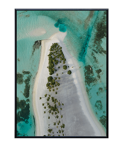 REEF_32
