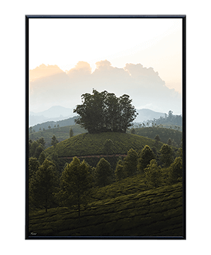 AROUND_33