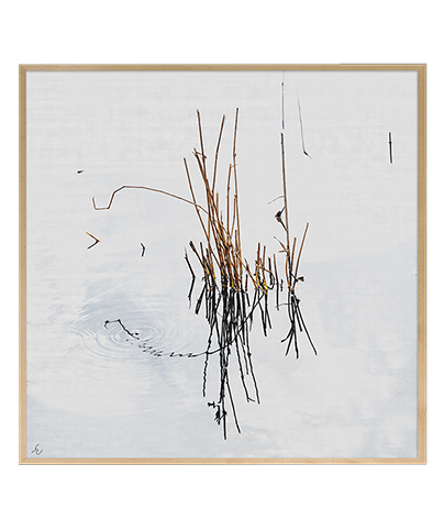 ZEN_04_SQ
