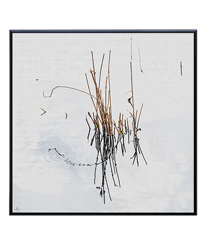 ZEN_04_SQ
