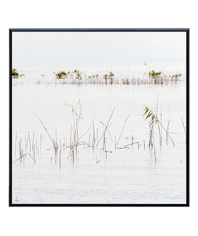 ZEN_06_SQ

