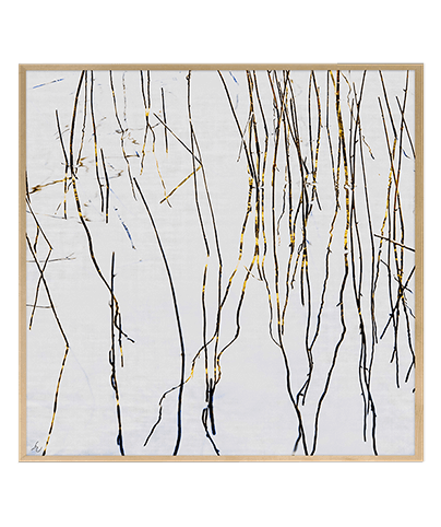 ZEN_11_SQ

