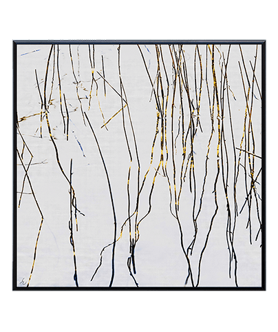 ZEN_11_SQ

