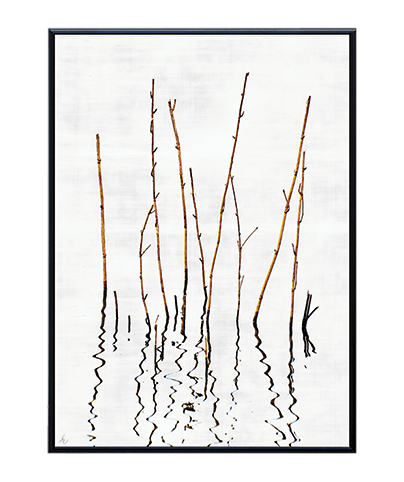 ZEN_14