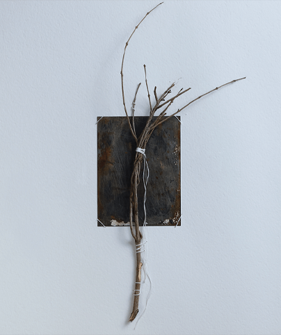 SPINE 06