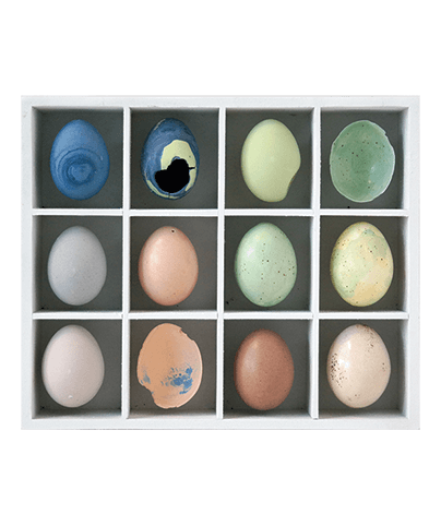 EGG TRAY 01
