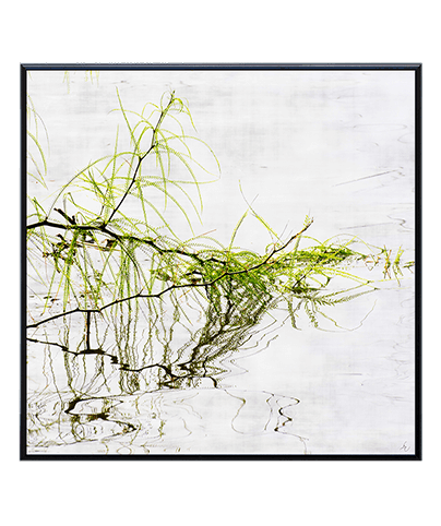 ZEN_15_SQ