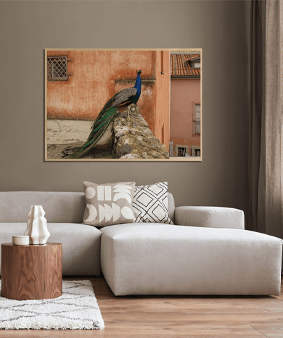 PEACOCK