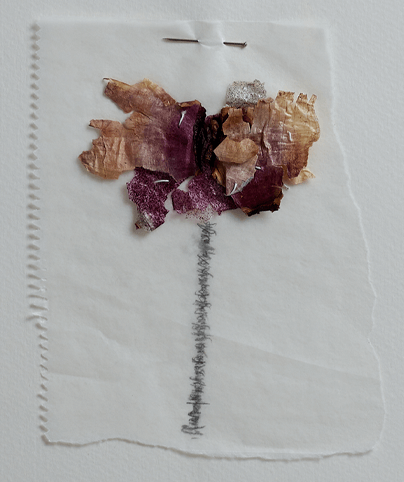 SPINE 09