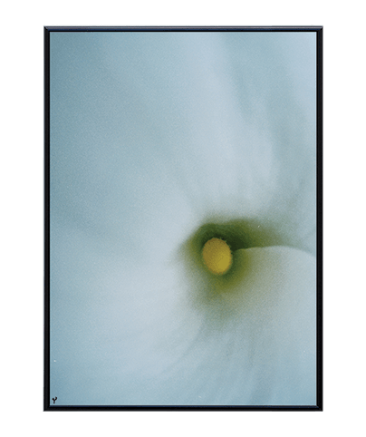 FLOW_DOSE