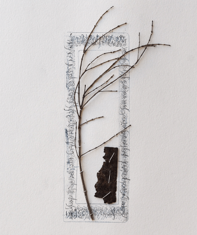 SPINE 11