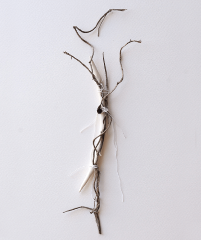 SPINE 14
