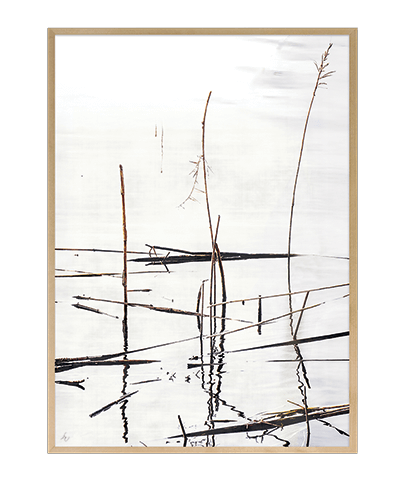 ZEN_17