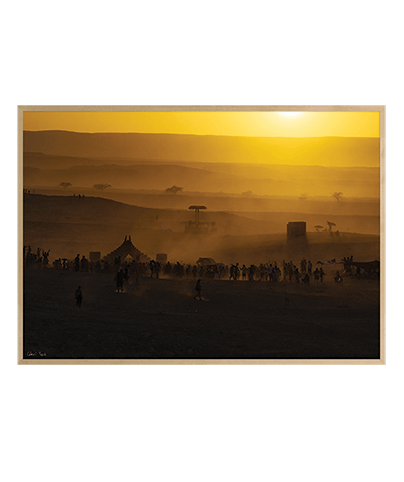 LANDSCAPE_37