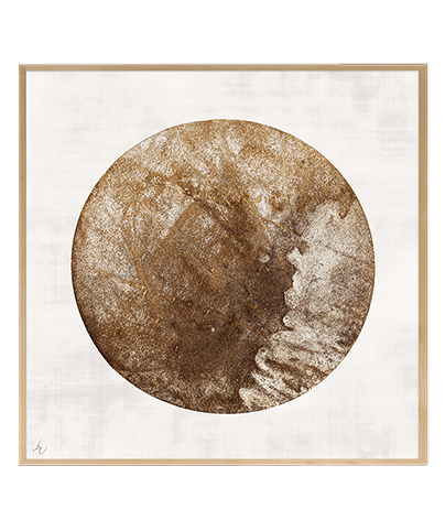 TERRA MOON