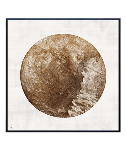 TERRA MOON