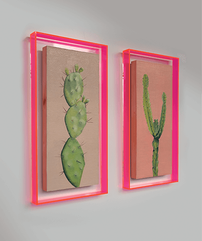 SUCCULENT 06